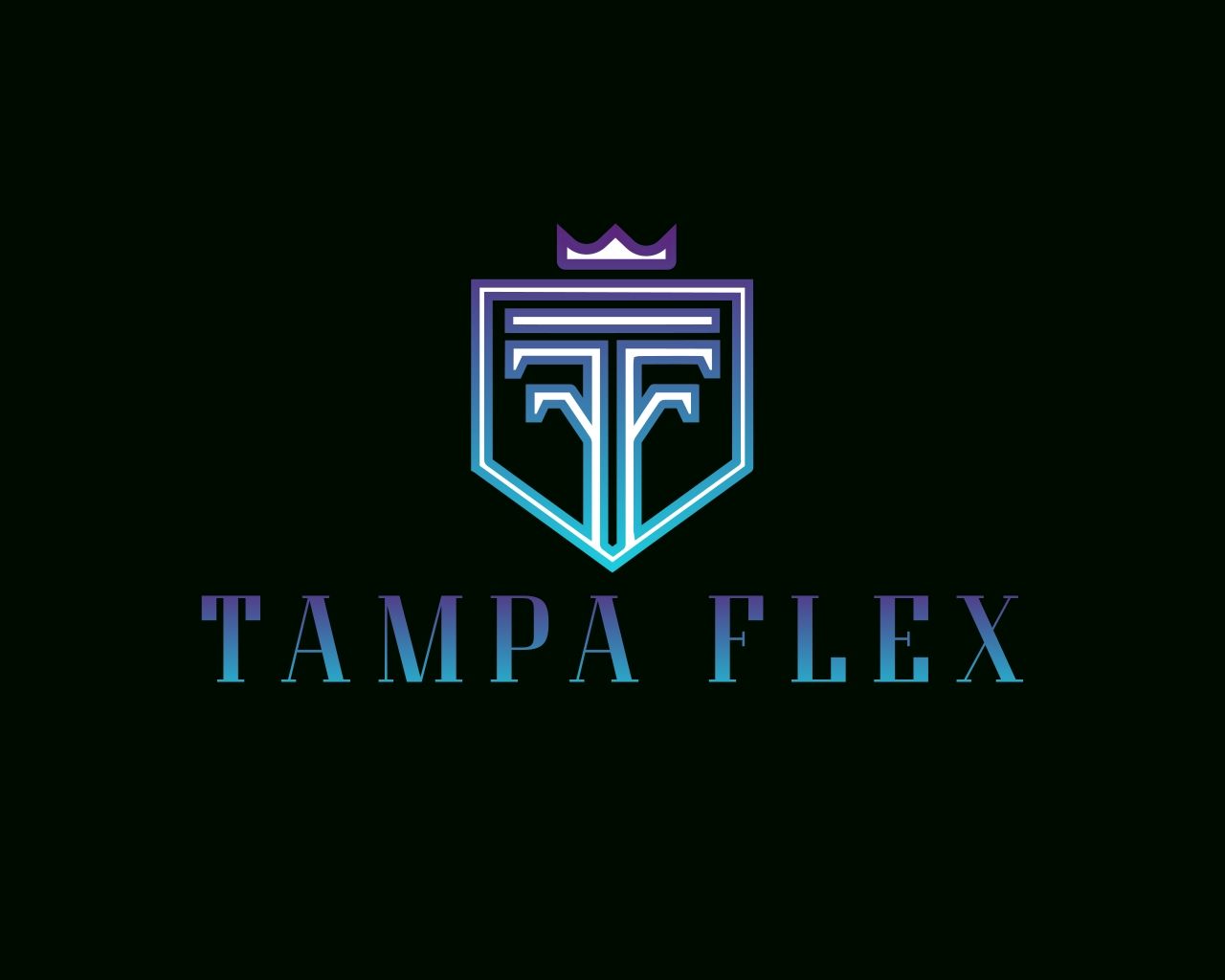 Tampa Flex logo